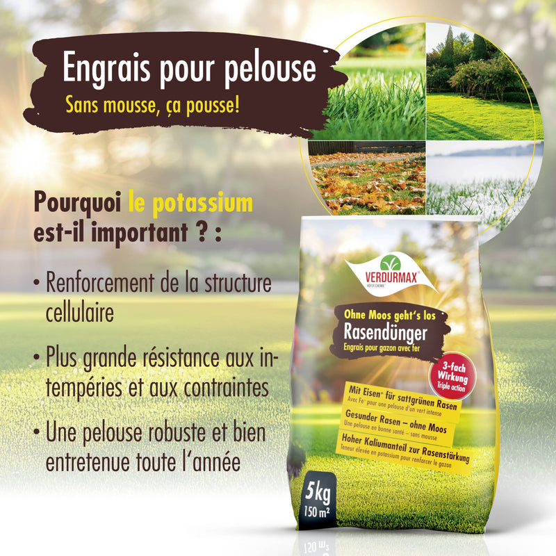5 kg VERDURMAX Engrais pour pelouse contenant du fer
