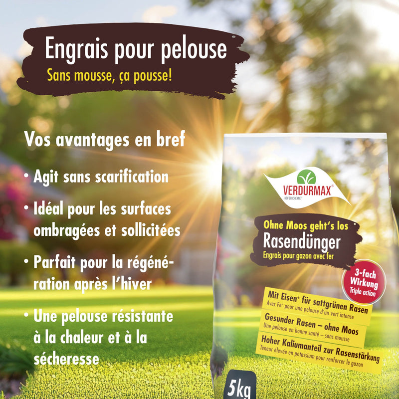 5 kg VERDURMAX Engrais pour pelouse contenant du fer