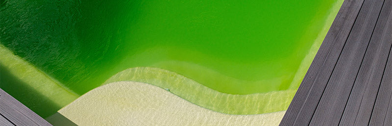 Grünes Wasser 