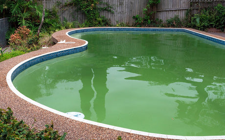 Ein Pool mit grünem Wasser.