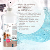 1 L BAYZID® SPA Anti-Kalk für Whirlpools - Höfer Chemie GmbH