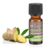 10 ml BAYZID® SPA Duftöl Ingwer-Soufflé