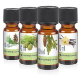 4 x 10 ml BAYZID® SPA Coffret d'huiles parfumées n° 4