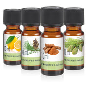4 x 10 ml BAYZID® SPA Duftöl-Set Nr. 9