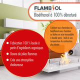 10 L FLAMBIOL® Bioethanol 100% Hochrein in Kanister - Höfer Chemie GmbH