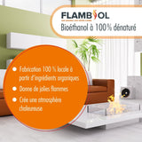 1 L FLAMBIOL® Bioethanol 96,6% Premium für Ethanol - Tischkamin - Höfer Chemie GmbH
