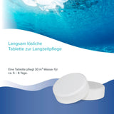 1 kg BAYZID® Multitabs 200g 5in1 für Pools - Höfer Chemie GmbH