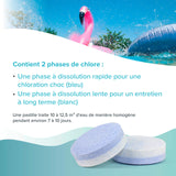 Galets de chlore biphase 6en1 de 200g BAYZID® en pot de 5 KG