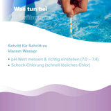5 L BAYZID® Poolclear - Trübungsbeseitigung für Pool-Filter mit Kartuschen & Filterballs - Höfer Chemie GmbH