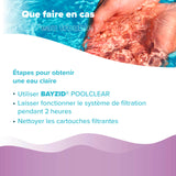 5 L BAYZID® Poolclear - Trübungsbeseitigung für Pool-Filter mit Kartuschen & Filterballs - Höfer Chemie GmbH