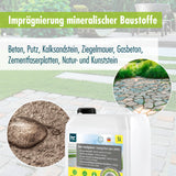 MICROACTIV® Grünbelagentferner Set - Höfer Chemie GmbH