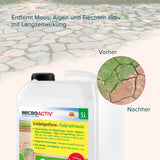 MICROACTIV® Grünbelagentferner Set - Höfer Chemie GmbH