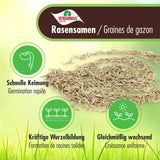 5 kg VERDURMAX® Rasensamen - Höfer Chemie GmbH
